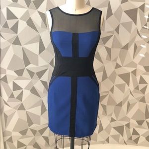 Royal blue and black cocktail dress